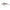 Vobler Salmo Executor 5SR CWF Classic White Fish 5cm 5g