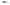 Vobler Salmo Executor Shallow Runner Holographic Golden Back 7cm 8g