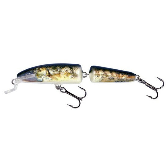 Vobler Salmo Fanatic IF7F RG 7 cm 5 gr