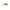 Vobler Salmo Fatso F10S EP 10cm 52gr