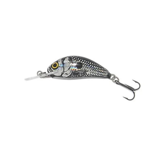 Vobler Salmo Hornet H2s Bbs, 2.5cm, 1.5g