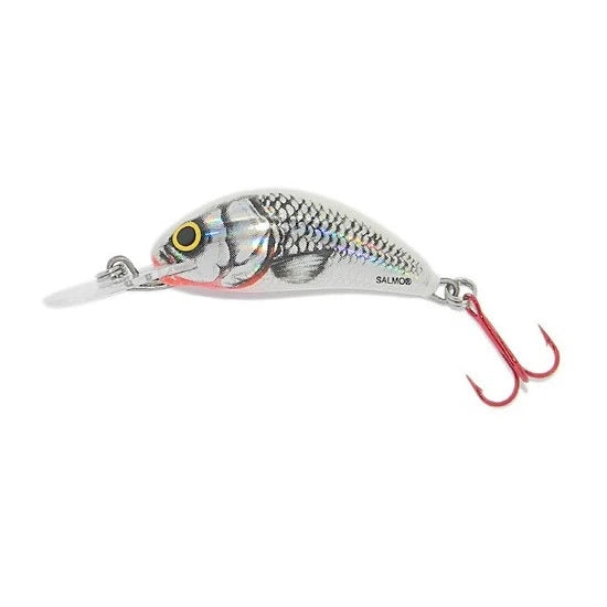 Vobler Salmo Hornet H2s Sws, 2.5cm, 1.5g
