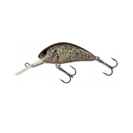 Vobler Salmo Hornet H6S RCR 6cm 14g