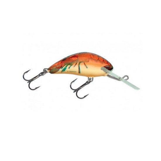Vobler Salmo Hornet H6S RCW 6cm 14g