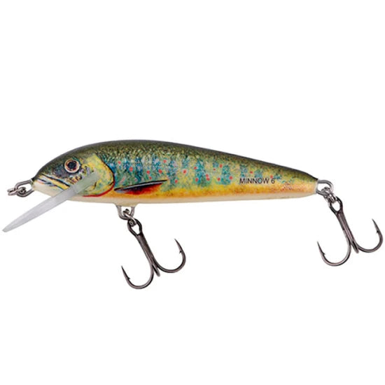 Vobler Salmo Minnow 5 Floating Lake Charr 5cm, 3g