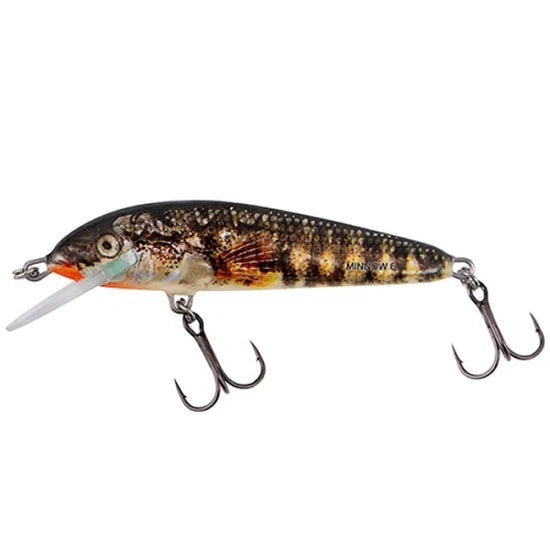 Vobler Salmo Minnow 6 Floating Holo Stickleback 6cm, 4g