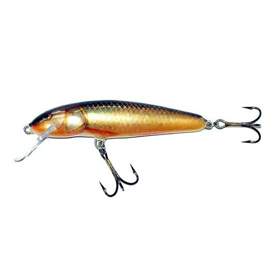 Vobler Salmo Minnow M5S RR 5cm 5g