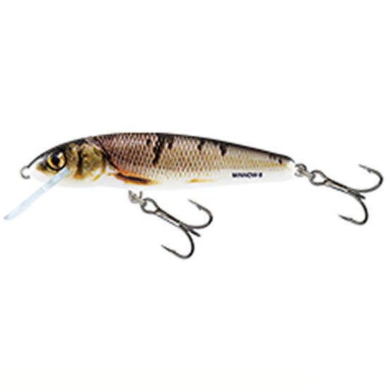 Vobler Salmo Minnow M6S, 6.0cm, 6.0g, WOD