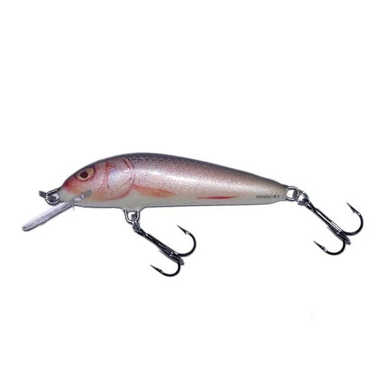 Vobler Salmo Minnow M7f Rr 7cm 6g