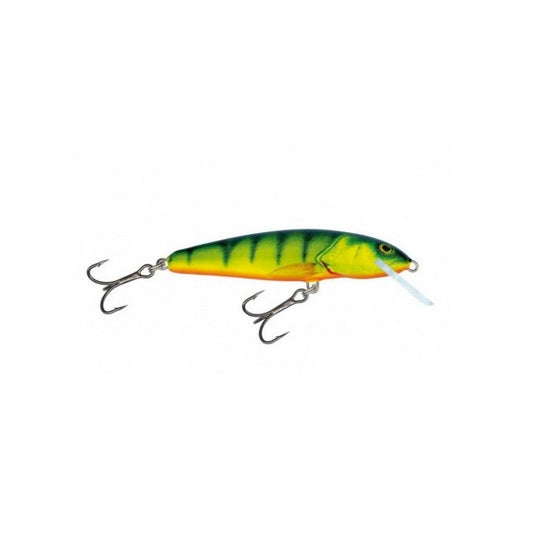 Vobler Salmo Minnow M9F HP 9cm 10g