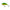 Vobler Salmo Rattlin' Hornet Floating - Green Tiger, 4.5cm, 3g