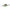 Vobler Salmo Rattlin Hornet Floating Ghost Perch 5.5cm 10.5g