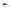 Vobler Salmo Rattlin' Hornet Floating Green Gill Clear 3.5cm, 3.1g