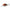 Vobler Salmo Rattlin Hornet Floating Holo Red Perch 3.5cm 3.1g