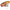 Vobler Salmo Rattlin Pop Clear Golden Prey, 7cm, 12.5g