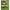 Vobler Salmo Rattlin Pop Clear Holo Smelt, 7cm, 12.5g