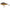 Vobler Salmo Slider Floating 10cm/36g Culoare Mirror Carp