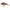 Vobler Salmo Slider Floating  Super Natural Mirror Carp 12cm 60g