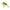 Vobler Salmo Square Bill Floating, Chartreuse Shad, 5cm, 14g