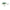 Vobler Salmo Square Bill SQ5F Green Back Herring 5cm 14g