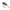 Vobler Salmo Square Bill Sq5f Holo Grey Shad 5cm 14g