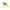 Vobler Salmo Square Bill SQ6F Chartreuse Shad 6cm 21g