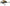 Vobler Salmo Tiny 3,0cm/2,5g sink 0,3/0,5m - IT3S BC