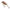 Vobler Salmo Tiny, Floating, Cc, 3cm, 2.5g, 1buc/pac