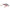 Vobler Spro Crank 7 Cm Sinking Silver Shad 11 Gr