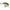 Vobler Storm Gomoku Crank Shallow 3.8cm/4.7g Culoare Gmd
