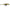 Vobler Storm Gomoku Pencil Culoare TR 4.5cm 2.7g