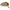 Vobler Strike Pro Baby Pro Eg-036 Culoarea 502g