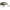 Vobler Strike Pro Sparrow 7cm/16.4g, culoare A070-713