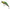 Vobler Tiemco Nabia Minnow Sinking, Hg Shinryoku Yamame, 7.7g, 6.2cm
