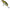 Vobler Wizard Bandit Rattle Crank, Slow-sinking, Culoare Sg, 5.5cm, 10g, 1buc/pac