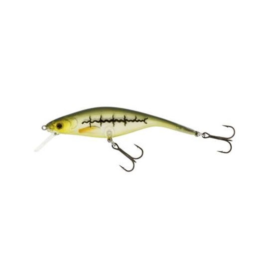 Vobler Westin Platypus SR 10cm 15g Eelpout F