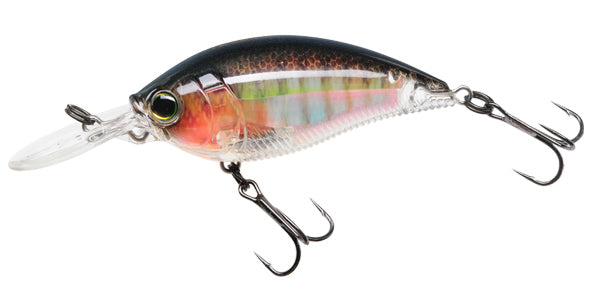 Vobler Yo-Zuri 3DR Mid Crank Floating 7cm 16g RBG