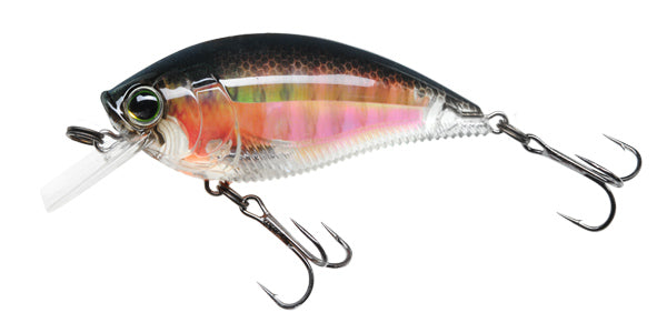 Vobler Yo-Zuri 3DR Shallow Crank Floating 7cm 16g RBG