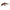 Vobler Yo-Zuri L-Minnow S 4.4cm, 5gr Sinking Culoare M100 1 buc/pac