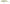 Vobler Yo-Zuri Pin's Minnow Floating (New Series) YP 7cm 4g