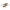 Vobler Yo-Zuri Sashimi Popper 7.5cm, 10gr, Topwater Culoare CMBB 1 buc/pac