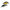 Vobler Yo-Zuri Sashimi Shallow Crank 7cm, 14gr, Floating Culoare CCTS 1 buc/pac