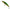 Vobler Zebco Demonic Minnow, 10.5cm, 24g, Tench, 1buc/pac