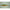 Vobler Zoner Minnow 50SP Nr.23 Gold Yamame