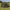 Winterskin Avid Carp Revolve Bivvy One Man Overwrap