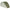 Winterskin Carp Zoom Carp Expedition 2