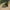 Winterskin Fox Eos Pro Bivvy 1 Person