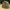Winterskin Fox R-series 1-man Bivvy Xl Khaki