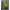 Zarnoitoare Sticla Fox Rage Strike Point Hitcher Rattle Small, 3buc