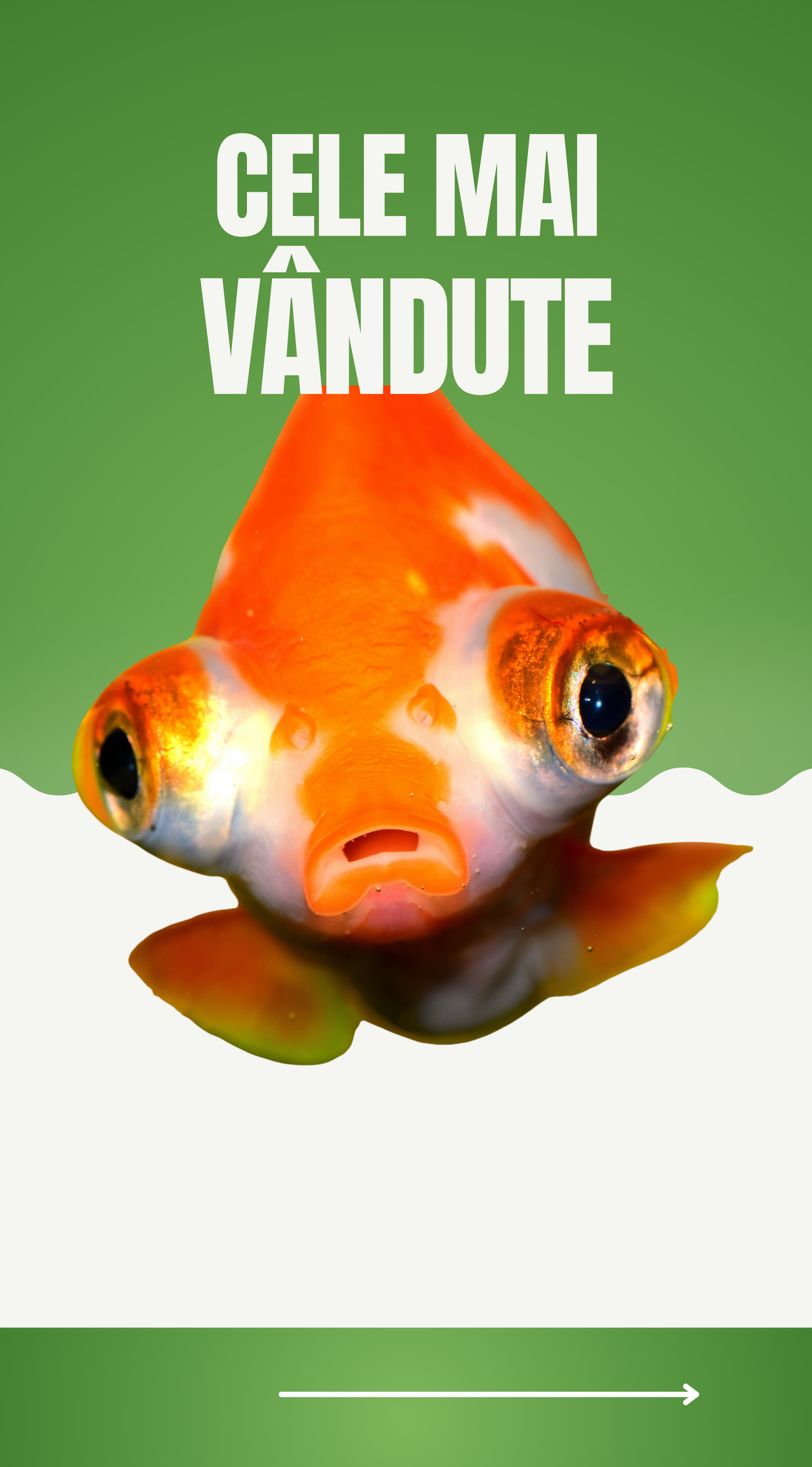 Cele mai vândute
